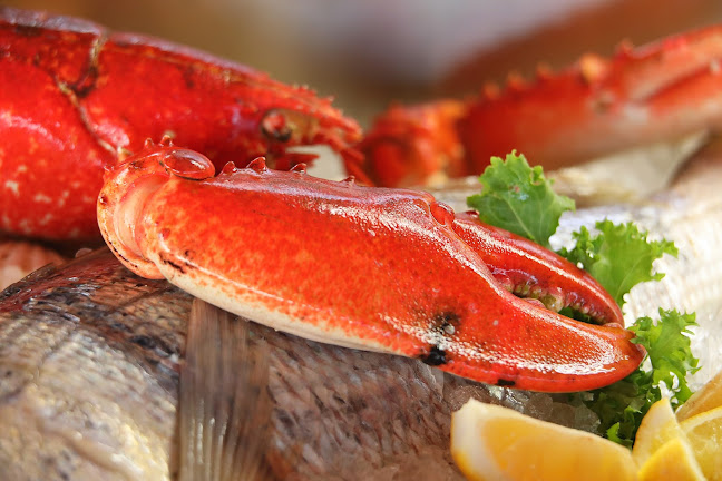 Opinii despre Restaurant Marina Kornati în Biograd na Moru - Gastronomija i ugostiteljstvo