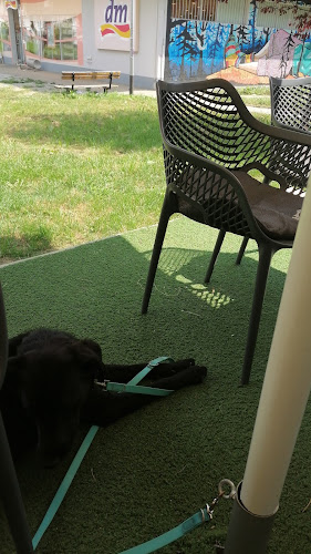 Comentarii opinii despre Panta Rei Cafe