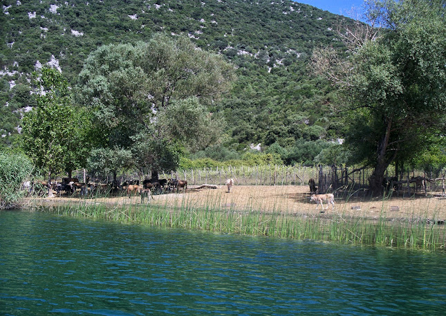 Baćinska Jezera 29, 20340, Baćina