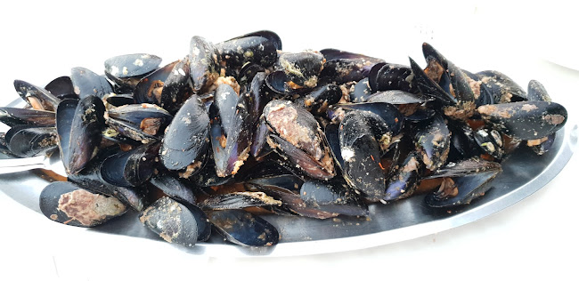 Comentarii opinii despre Pansion Kačina