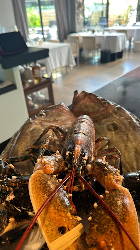 Bistro Apetit by Marin Rendić - Gastronomija i ugostiteljstvo