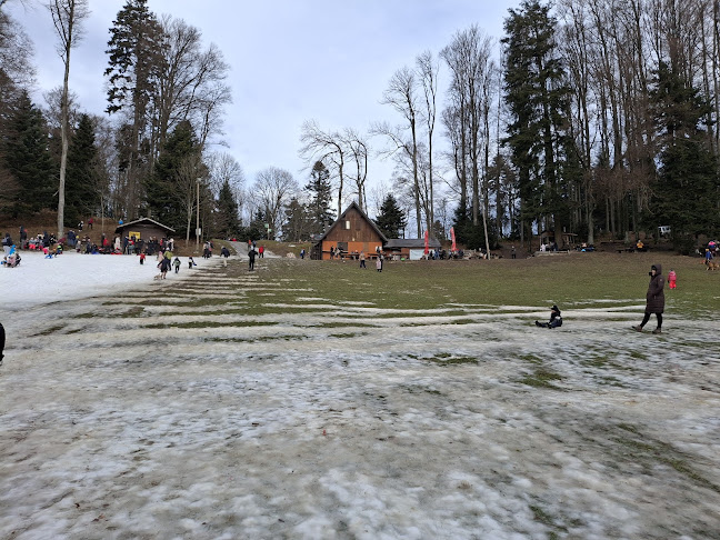 Restoran Grofica - Sljeme