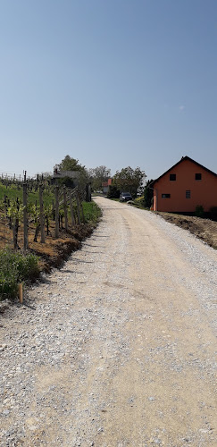 Sveti Petar Orehovec 32, 48267, Orehovec