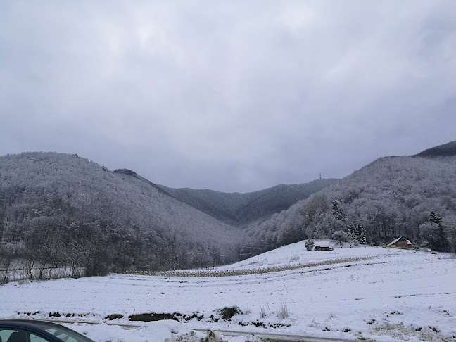 Opinii despre IVANČICA UGOSTITELJSKI OBRT, IVICA HANŽEK în Ivanec - Gastronomija i ugostiteljstvo
