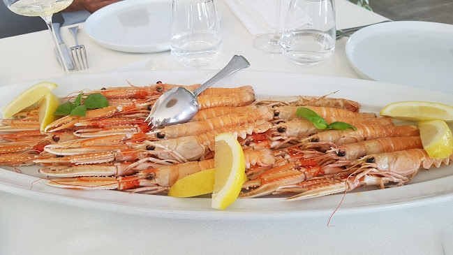 Restaurant Badi - Gastronomija i ugostiteljstvo