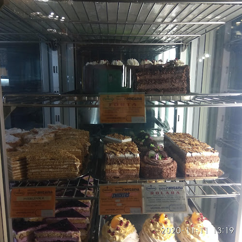 Comentarii opinii despre Fontana