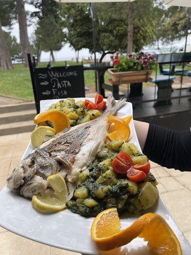 Gatto Blu novigrad - Gastronomija i ugostiteljstvo