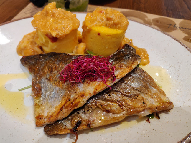 Restoran 4 Kantuna - Gastronomija i ugostiteljstvo