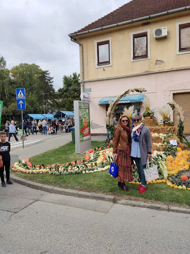 Comentarii opinii despre Cafe Bar Rocky