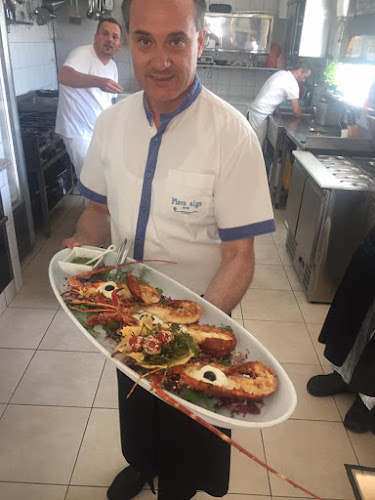 Comentarii opinii despre Plava Alga