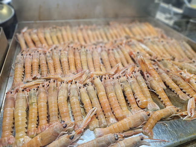 Tri Palme - Novigrad