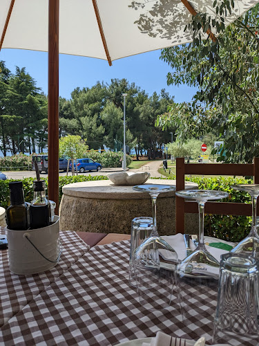 Comentarii opinii despre Tri Palme