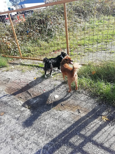 Comentarii opinii despre Caffe bar Gol