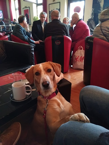 Ul. Stjepana Radića 12, 31000, Osijek