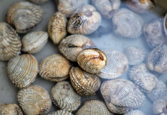 Luka's Taverna Kobaš - Gastronomija i ugostiteljstvo