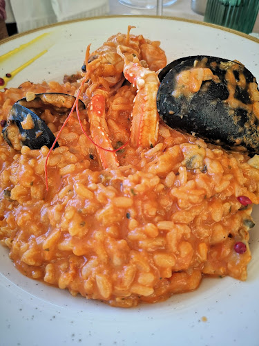 Comentarii opinii despre Matteo