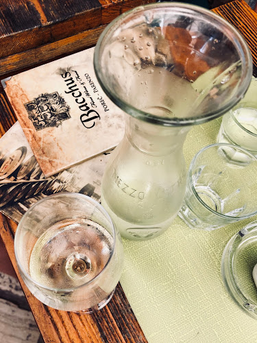 Comentarii opinii despre Bacchus