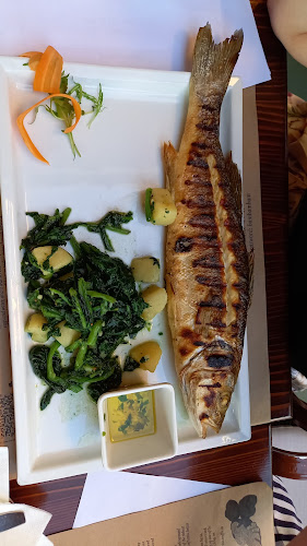 Comentarii opinii despre Fortuna