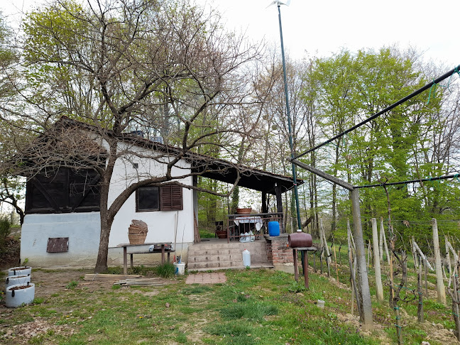 Opinii despre Ilijev breg 4 în Šemovci - Gastronomija i ugostiteljstvo