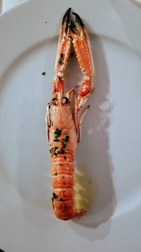 Restoran Šampjer - Gastronomija i ugostiteljstvo