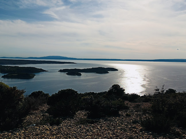 Comentarii opinii despre Buffet Pinia