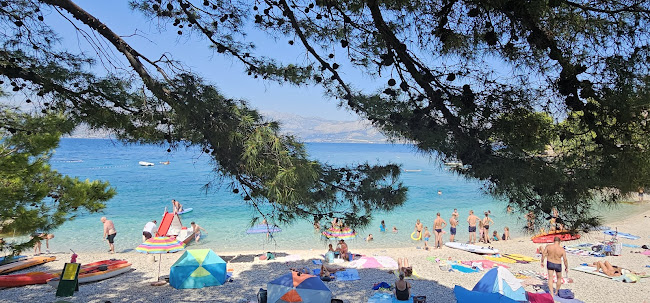 Beach Bar Mala Lozna - Gastronomija i ugostiteljstvo