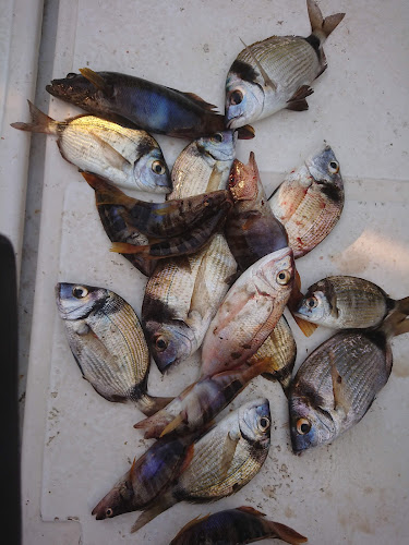 Buffet Kod Baje - Drniš