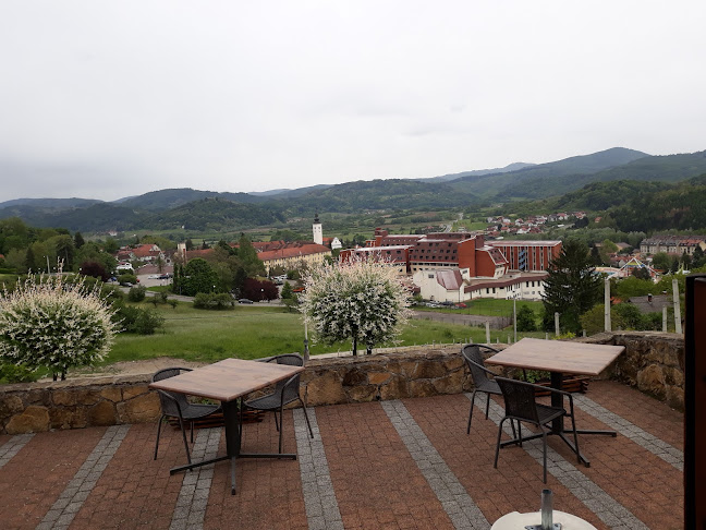 Vila Toplissa ,Varaždinske Toplice - Gastronomija i ugostiteljstvo