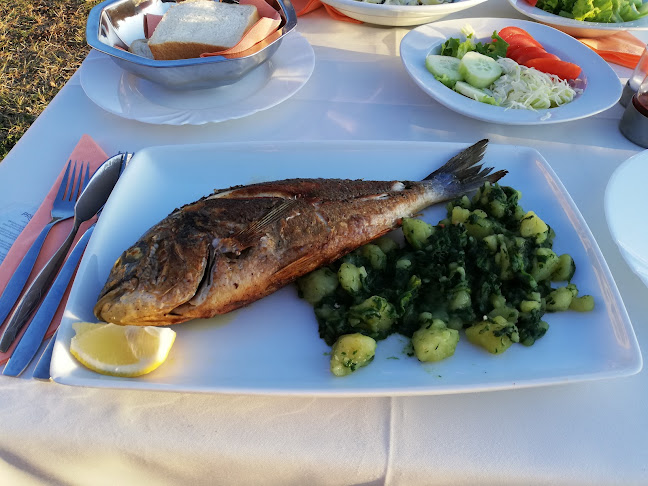 Comentarii opinii despre Volley Ferata