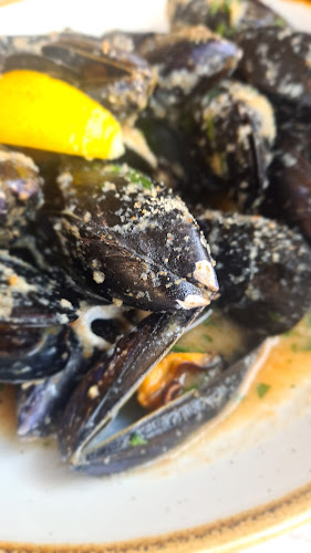 Comentarii opinii despre Fančita