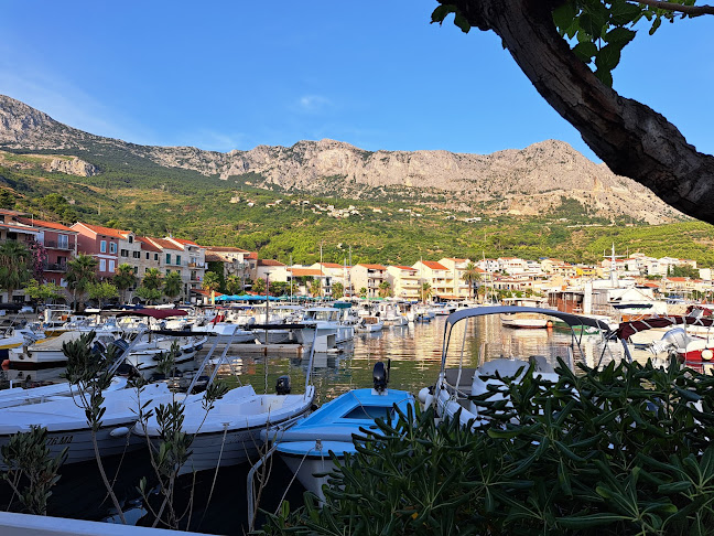 Ahipara zalogajnica, Podgora - Gastronomija i ugostiteljstvo