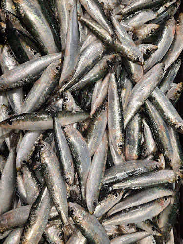 Peskarija Kalambera - Vis