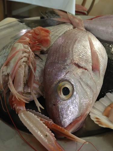 Comentarii opinii despre Restoran Potkova