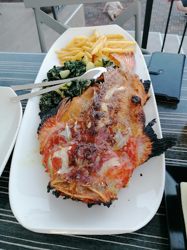 Bistro Andrija - Gastronomija i ugostiteljstvo