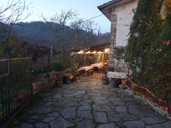 Agriturismo Edo Pincin - Gastronomija i ugostiteljstvo