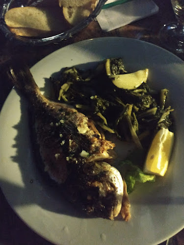 Opinii despre Restoran Anita în Zaton Obrovački - Gastronomija i ugostiteljstvo