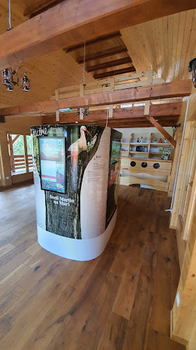 Comentarii opinii despre Caffe bar Skelarska kuća