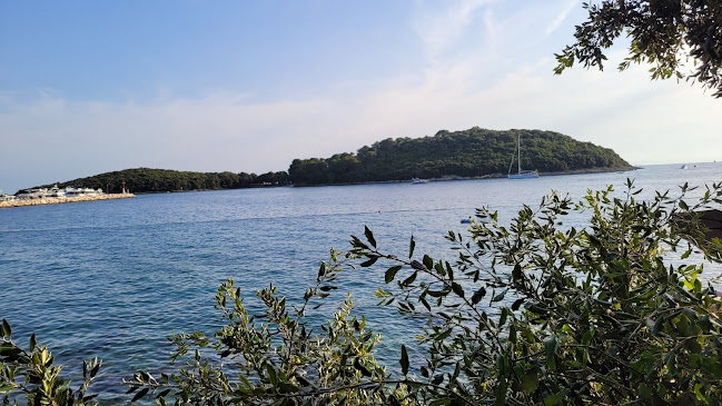 Orlandin - Gastronomija i ugostiteljstvo