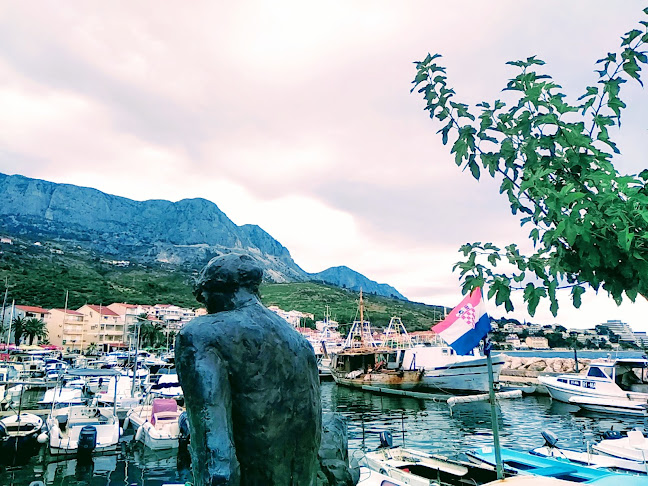 Ahipara zalogajnica, Podgora - Gastronomija i ugostiteljstvo