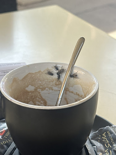 Comentarii opinii despre Rhea Silvia