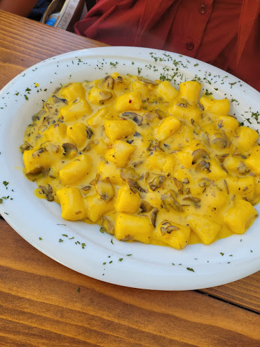 Pizzeria Nono - Gastronomija i ugostiteljstvo