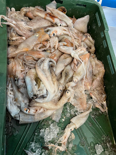 Comentarii opinii despre Ribarnica Pag