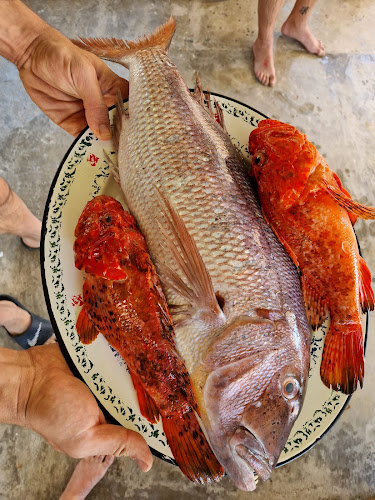 Opinii despre Konoba Tomić în Biševo - Gastronomija i ugostiteljstvo