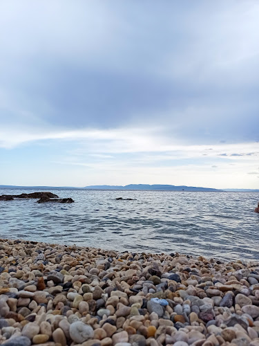 Comentarii opinii despre Pajol bar Pecine