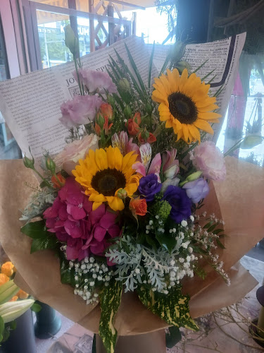 Trešnjevački trg bb, 10000, Zagreb