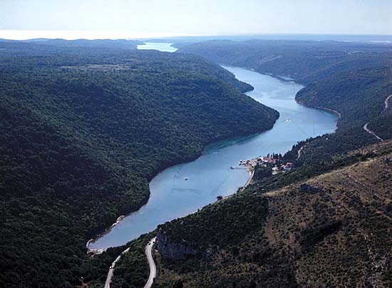 Comentarii opinii despre Restaurant Viking