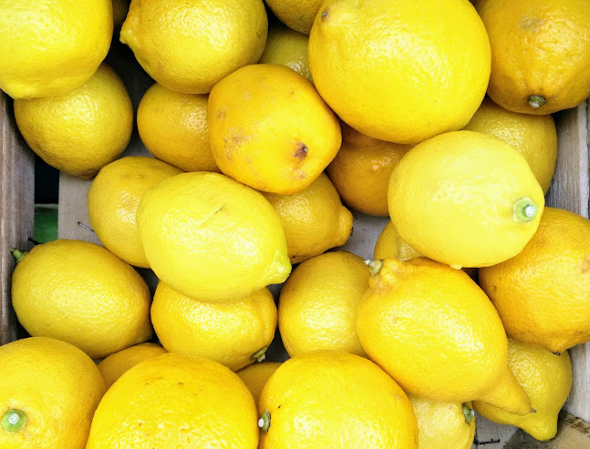 Ul. Ante Topića Mimare 30, 10090, Zagreb