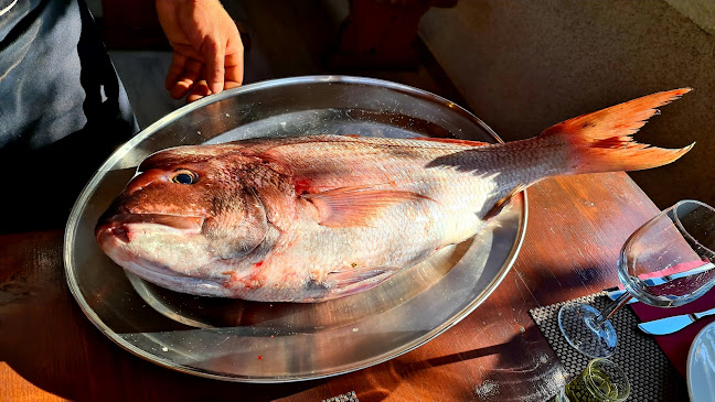 Pupnat 57, 20274, Pupnat