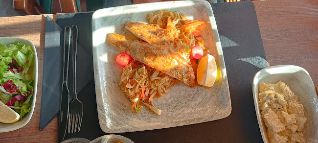 Comentarii opinii despre Restaurant Projekt 9