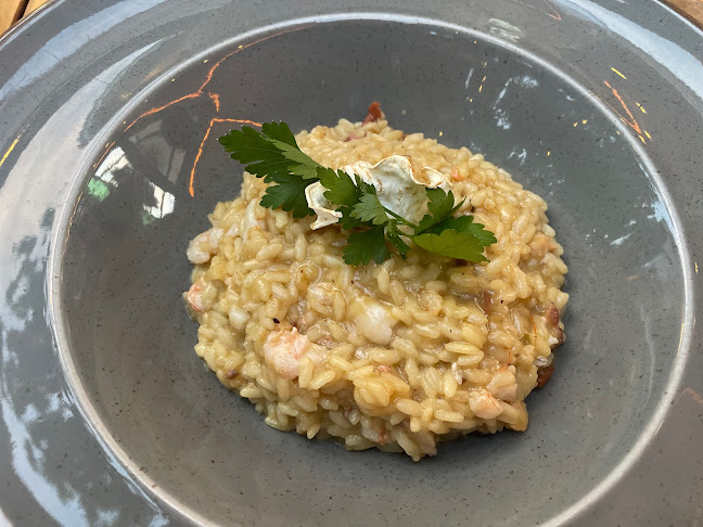 Taverna Riva - Gastronomija i ugostiteljstvo